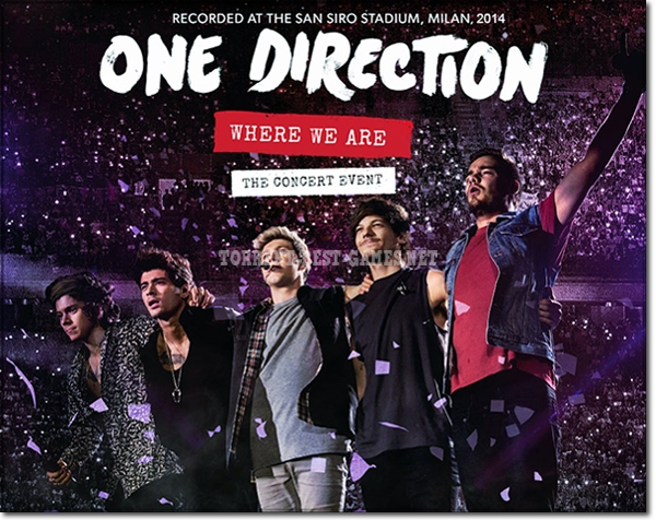 One Direction: Where We Are (2014) BDRemux 1080i